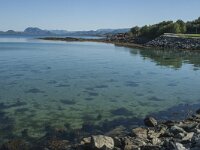 N, Nordland, Somna, Vennesund 7, Saxifraga-Marijke Verhagen