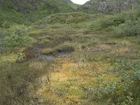 N, Nordland, Vagan, Djeveldalen 12, Saxifraga-Willem van Kruijsbergen