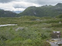 N, Nordland, Vagan, Djeveldalen 15, Saxifraga-Willem van Kruijsbergen