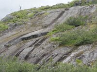 N, Nordland, Vagan, Djeveldalen 24, Saxifraga-Willem van Kruijsbergen