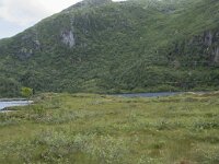 N, Nordland, Vagan, Djeveldalen 3, Saxifraga-Willem van Kruijsbergen