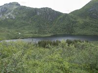 N, Nordland, Vagan, Djeveldalen 8, Saxifraga-Willem van Kruijsbergen