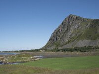 N, Nordland, Vagan, Gimsoya, Hoven 1, Saxifraga-Willem van Kruijsbergen