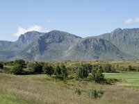 N, Nordland, Vagan, Gimsoya, Hoven 4, Saxifraga-Willem van Kruijsbergen