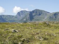 N, Nordland, Vagan, Gimsoya, Hoven 5, Saxifraga-Willem van Kruijsbergen