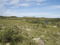 N, Nordland, Vagan, Hellhaugen 1, Saxifraga-Willem van Kruijsbergen