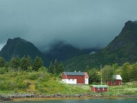 N, Nordland, Vagan, Kabelvag 2, Saxifraga-Hans Deklker