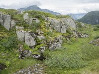 N, Nordland, Vagan, Nokksaetra 10, Saxifraga-Willem van Kruijsbergen