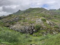 N, Nordland, Vagan, Nokksaetra 14, Saxifraga-Willem van Kruijsbergen