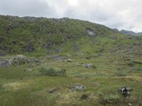 N, Nordland, Vagan, Nokksaetra 2, Saxifraga-Willem van Kruijsbergen