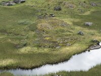 N, Nordland, Vagan, Nokksaetra 9, Saxifraga-Willem van Kruijsbergen