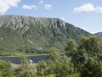 N, Nordland, Vagan, Nordpollen 1, Saxifraga-Willem van Kruijsbergen