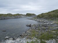 N, Nordland, Vagan, Orsnes 10, Saxifraga-Willem van Kruijsbergen