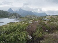 N, Nordland, Vagan, Orsnes 15, Saxifraga-Willem van Kruijsbergen