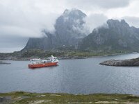 N, Nordland, Vagan, Orsnes 16, Saxifraga-Willem van Kruijsbergen