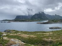 N, Nordland, Vagan, Orsnes 23, Saxifraga-Willem van Kruijsbergen