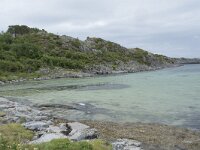 N, Nordland, Vagan, Orsnes 7, Saxifraga-Willem van Kruijsbergen