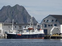 N, Nordland, Vagan, Svolvaer 3, Saxifraga-Willem van Kruijsbergen