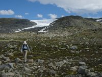 N, Oppland, Lom, Sognefjellet 31, Saxifraga-Jan van der Straaten