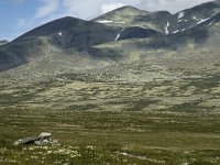 N, Oppland, Sel, Peer Gynt Hytta 9, Saxifraga-Jan van der Straaten