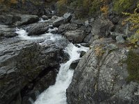 N, Oppland, Vaga, Randsverk, Sjoa river 5, Saxifraga-Annemiek Bouwman