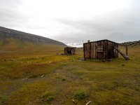N, Spitsbergen, Diskobukta 2, Saxifraga-Bart Vastenhouw