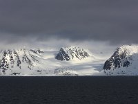 N, Spitsbergen, Forlandssundet 1, Saxifraga-Bart Vastenhouw
