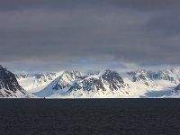 N, Spitsbergen, Forlandssundet 2, Saxifraga-Bart Vastenhouw