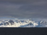 N, Spitsbergen, Forlandssundet 3, Saxifraga-Bart Vastenhouw