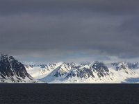 N, Spitsbergen, Forlandssundet 4, Saxifraga-Bart Vastenhouw