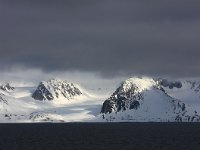 N, Spitsbergen, Forlandssundet 5, Saxifraga-Bart Vastenhouw