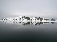 N, Spitsbergen, Fuglesangen 14, Saxifraga-Bart Vastenhouw