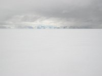 N, Spitsbergen, Fuglesangen 2, Saxifraga-Bart Vastenhouw