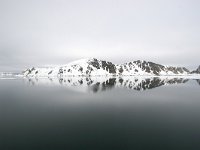 N, Spitsbergen, Fuglesangen 20, Saxifraga-Bart Vastenhouw