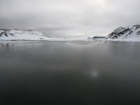 N, Spitsbergen, Fuglesangen 23, Saxifraga-Bart Vastenhouw
