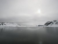 N, Spitsbergen, Fuglesangen 24, Saxifraga-Bart Vastenhouw