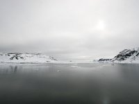 N, Spitsbergen, Fuglesangen 25, Saxifraga-Bart Vastenhouw