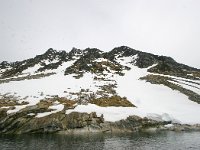 N, Spitsbergen, Fuglesangen 26, Saxifraga-Bart Vastenhouw