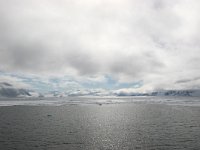 N, Spitsbergen, Fuglesangen 4, Saxifraga-Bart Vastenhouw