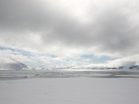 N, Spitsbergen, Fuglesangen 9, Saxifraga-Bart Vastenhouw