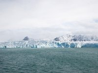 N, Spitsbergen, Kongsfjord 14, Saxifraga-Bart Vastenhouw