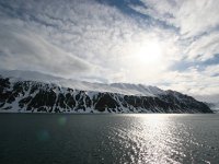 N, Spitsbergen, Kongsfjord 2, Saxifraga-Bart Vastenhouw