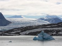 N, Spitsbergen, Kongsfjord 29, Saxifraga-Bart Vastenhouw