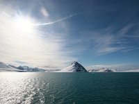 N, Spitsbergen, Kongsfjord 6, Saxifraga-Bart Vastenhouw