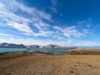 N, Spitsbergen, Longyearbyen 11, Saxifraga-Bart Vastenhouw