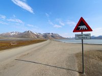 N, Spitsbergen, Longyearbyen 4, Saxifraga-Bart Vastenhouw