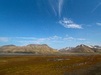 N, Spitsbergen, Longyearbyen 5, Saxifraga-Bart Vastenhouw