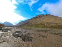 N, Spitsbergen, Longyearbyen 9, Saxifraga-Bart Vastenhouw