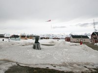 N, Spitsbergen, Ny-Alesund 12, Saxifraga-Bart Vastenhouw