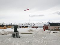 N, Spitsbergen, Ny-Alesund 13, Saxifraga-Bart Vastenhouw